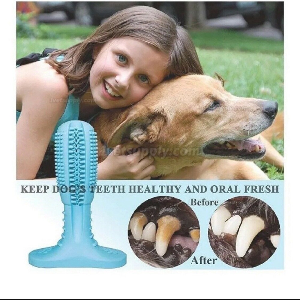 Pet Dog Chew Toys Aggressive Chewers Teeth Cleaning Oral Toothbrush Rubber Bone